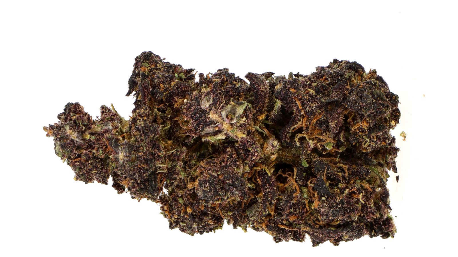 Fleur de CBD Black Diamond posée sur un fond blanc