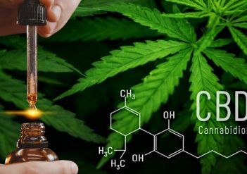 Effets du cannabidiol, comment agit le CBD sur l’organisme ?