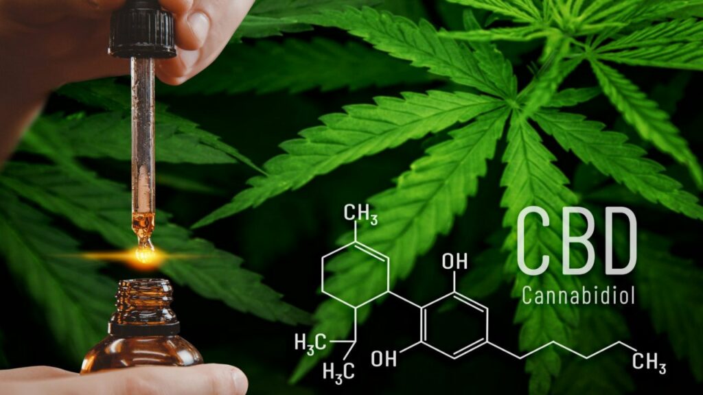Effets du cannabidiol, comment agit le CBD sur l’organisme ?
