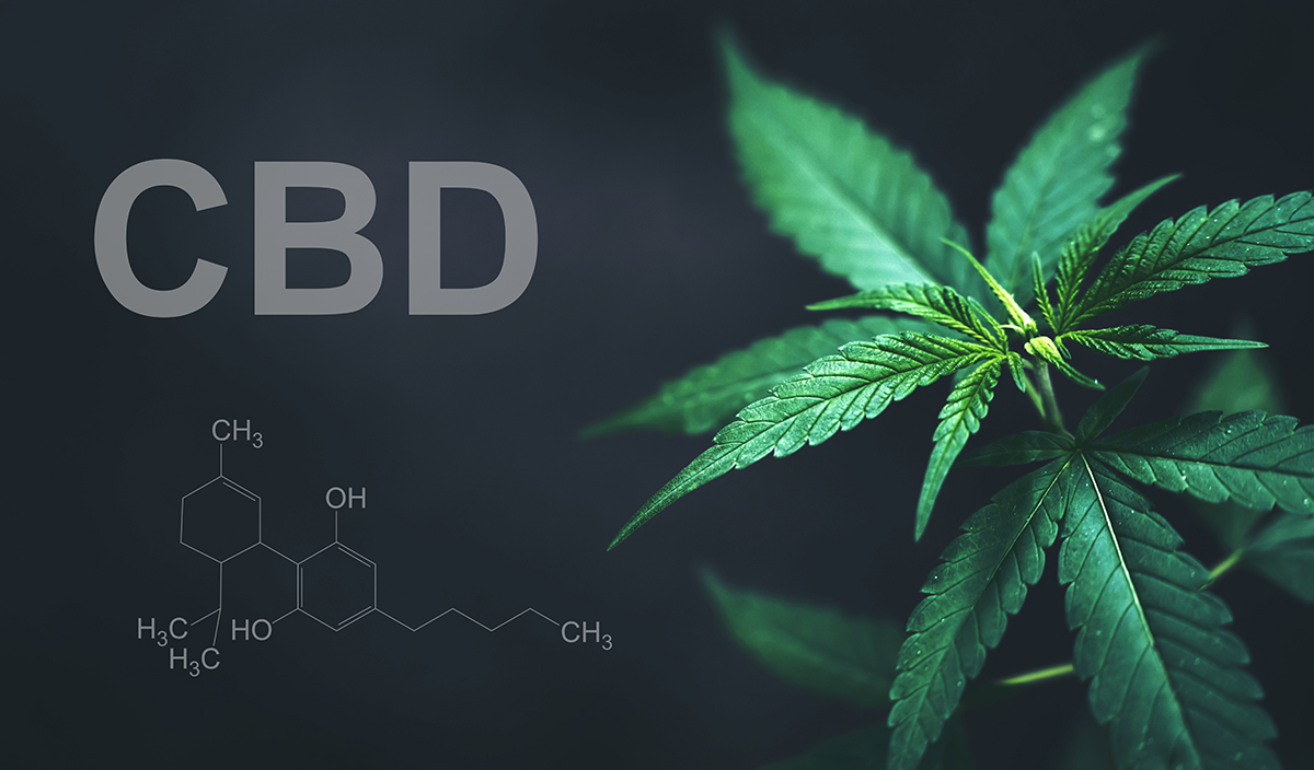 Qui peut prendre et consommer du CBD ?
